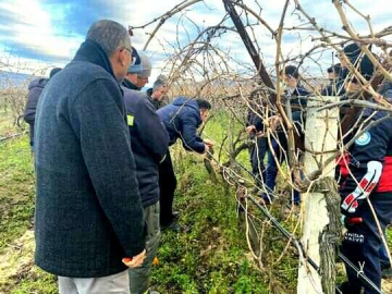 Sarıgölde bağ budama kursu açıldı