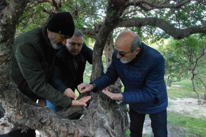“Çeşme sakızı, ağızda sakız olmasın”