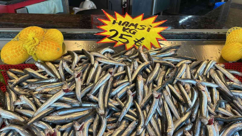 Deniz soğudu, balık bollaştı