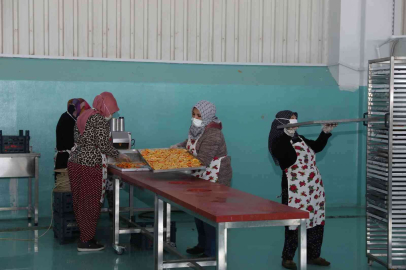 Oğuzelili kadınlar kurutulmuş meyve ihracatı hazırlığında