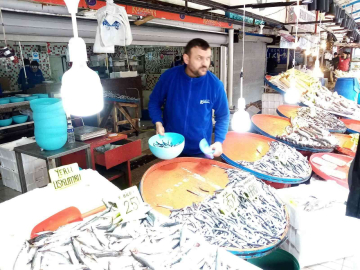 Bandırma Balıkhaline hamsi ve kolyoz akını