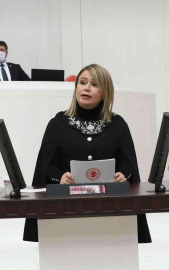 Mutlu Aydemire TBMM ‘de yeni görev