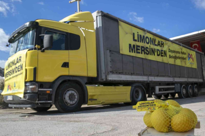 Mersinden 4 büyük şehre limon gönderildi