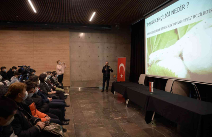 Osmangazide İpek Böceği Yetiştiriciliği Kursu