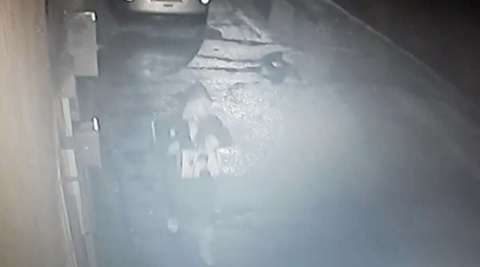(Özel) Bursada Laptop Ve Plak Çalan Hırsızın Rahat Tavırları Kamerada