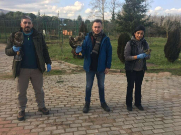 Tedavi Edilen 335 Hayvan Doğaya Salındı