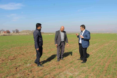 Yağışlar çiftçiyi umutlandırdı, hububat fiyatlarında düşüş bekleniyor