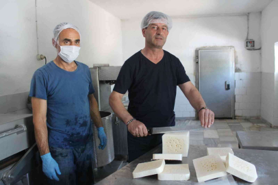 Manyas kelle peyniri İstanbul peynir fuarında tanıtılacak