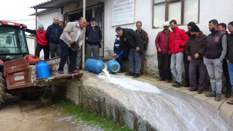 Çanakkalede mandıracılara kızıp 200 kilogram sütü döktüler