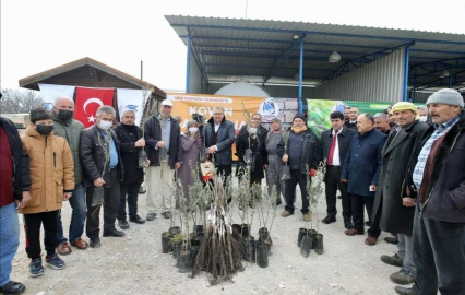 Yunusemre Belediyesinden üreticilere fidan ve kovan desteği