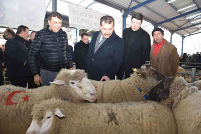 Koçlar Gönende panayırda boy gösterdi