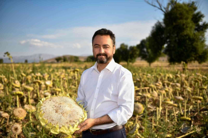 Elbistanda 19 bin ton ayçiçeği üretiliyor