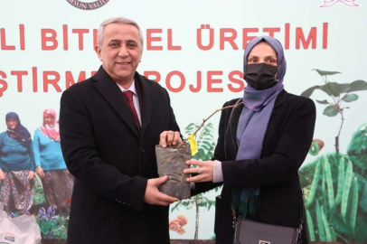 Samsunda kivi üretiminde hedef 4 yılda 1. sıraya yerleşmek