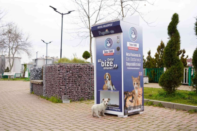 Kestelde Sokak Hayvanları İçin ‘Mamamatik Uygulaması