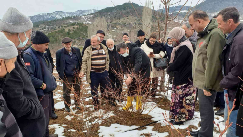 Çiftçiye Yaban Mersini Budama Ve Gübreleme Eğitimi