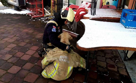 Göle Düşen Köpeği Montuyla Sararak Isıttı
