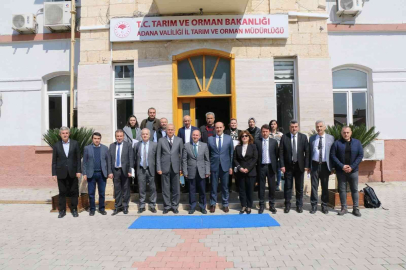 Adanada ki zirai don olaylarının tarımsal üretime zararı değerlendirildi