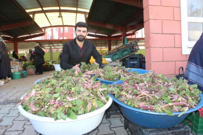 İneboluda ıspıt bolluğu yaşanıyor