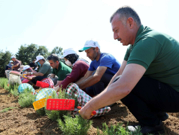 Kooperatif ve birliklere yüzde 75 hibe desteği