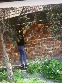 Karacabeyde 6 Hırsızlık Şüphelisi Tutuklandı