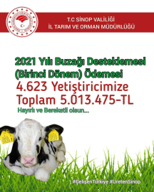 Sinoplu yetiştiricilere 5 milyon TL tarımsal destek
