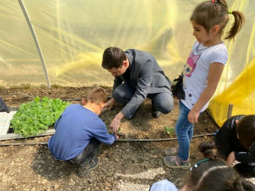 Altıntaşta fide dikim etkinliği