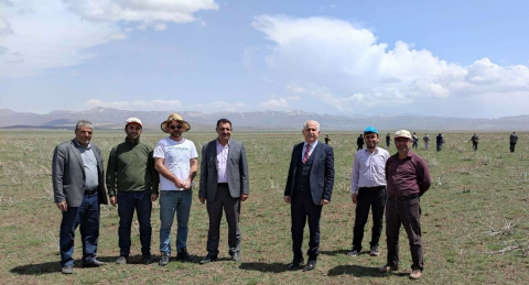 Vanda meralar ıslah ediliyor