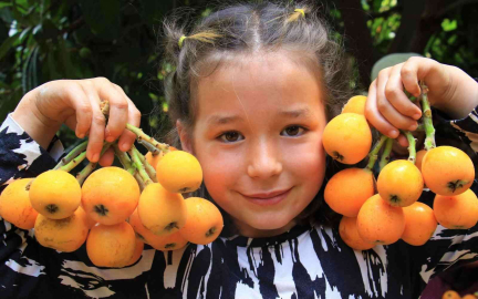 Mersinin sarı altını yenidünya üreticisini fiyatıyla sevindirdi