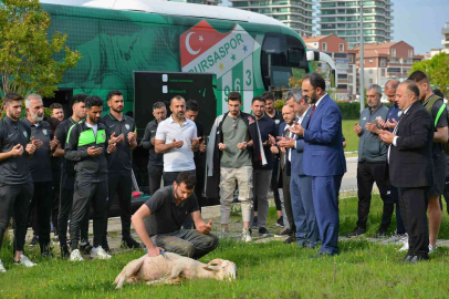 Bursaspor, Bandırma Yolcuğu Öncesi Kurban Kesti