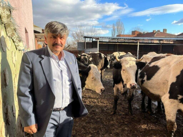 Süte gelen zamdan sonra yem fiyatları da yükseldi