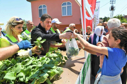 Orduda üreticilere 200 bin adet fide desteği