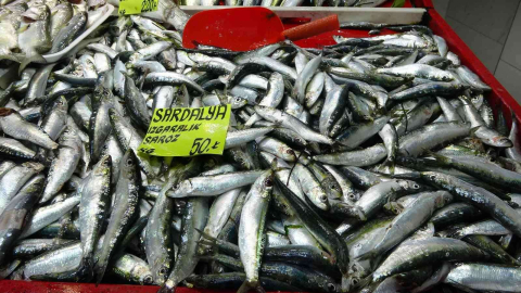 Çanakkalede geçen sene kilosu 70 lira olan sardalya, 50 liradan tezgahlarda