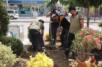 Gürsunun Caddelerine Rengarenk Çiçeklerle Yaz Coşkusu