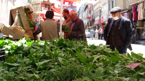 Vanda sebze fideleri yoğun talep görüyor