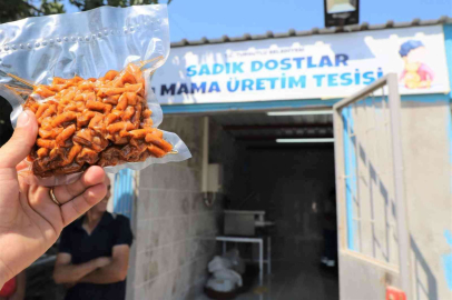 Atık gıdalar sokak hayvanları için mamaya dönüşecek
