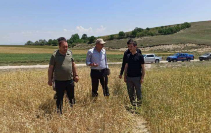 Kaymakam İrdelp, hasar tespit çalışmalarına katıldı
