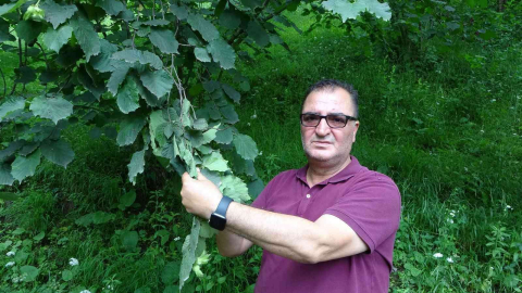 Arslantürk: Pandemi fındık tarımını bize yeniden öğretti