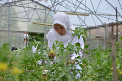Yıldırımın ‘Özel Anneleri Üretiyor