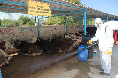 Bursa Büyükşehir Bayrama Hazır