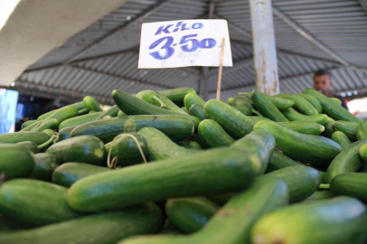 Pazar tezgahlarında salatalık 3,5 TLden satılıyor