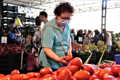 Antalyada dört gözle beklenen yayla domatesi pazarla buluştu