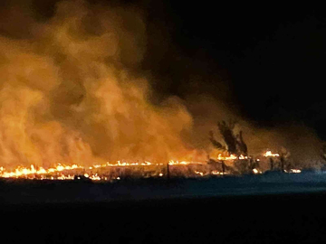 Leylek Sürüsü Anız Yangını Çıkarttı