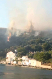 Bursada Korkutan Orman Yangını