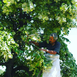 Düzce, ülke ekonomisine katkı verdi