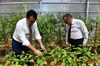 Bursada Yerli Ve Milli Tohum İçin İşbirliği