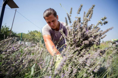 Nilüferin Tıbbi-Aromatik Bitki İşleme Tesisi Projesine Bebkadan Hibe