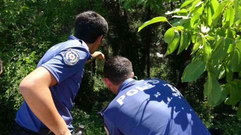 Bursada Gezinmek İçin Çıktığı Yoldan 30 Metre Aşağıya Düştü