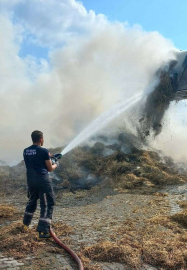 Bursada Hayvan Çiftliğinde Yangın