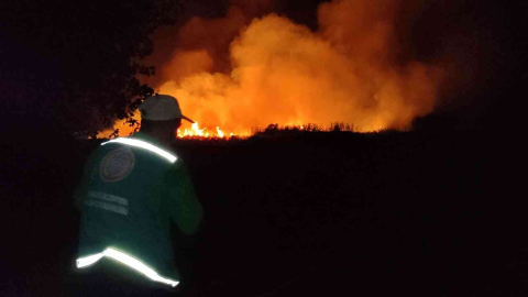İznik Gölündeki Yangın Söndürüldü