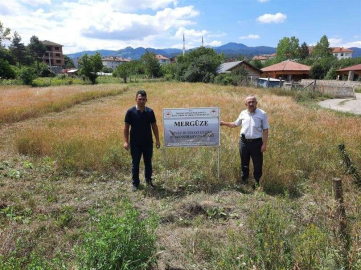 Mergüze, atasiyez ve Kastamonu siyez buğdayı tüm Kastamonuda yaygınlaştırılacak